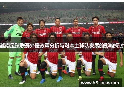 越南足球联赛外援政策分析与对本土球队发展的影响探讨